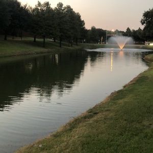 Meet your Posher, Iris